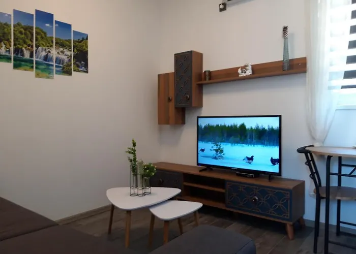 Appartement Ponistra