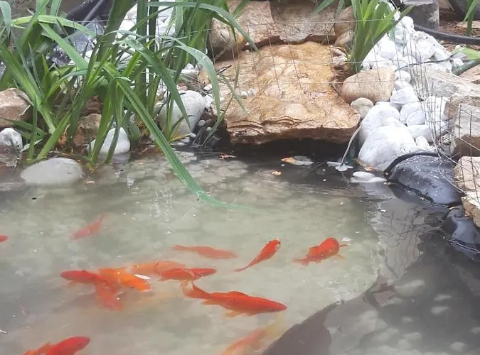 Ponistra Appartement